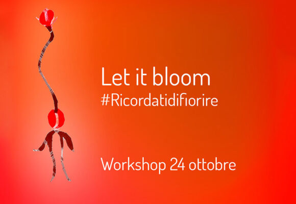let it bloom - fiorisce il progetto